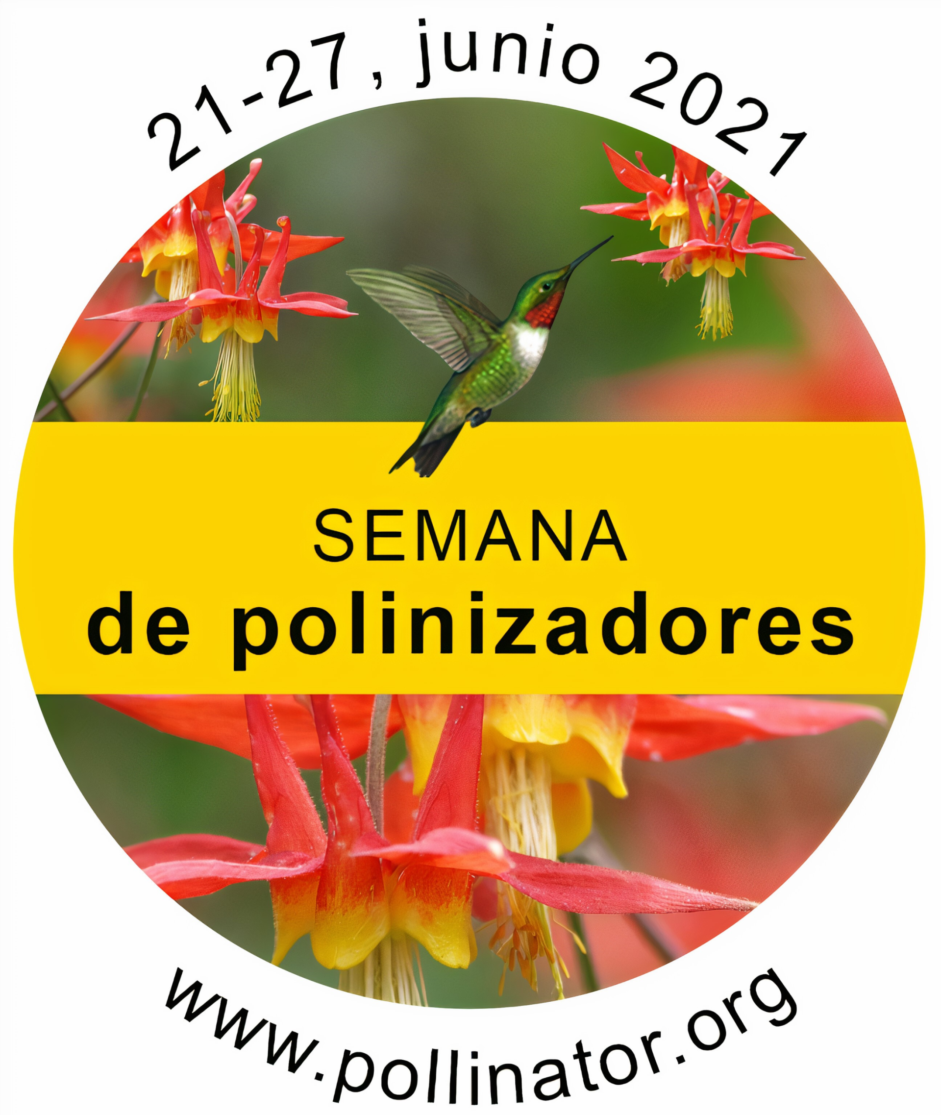 pollen spanish