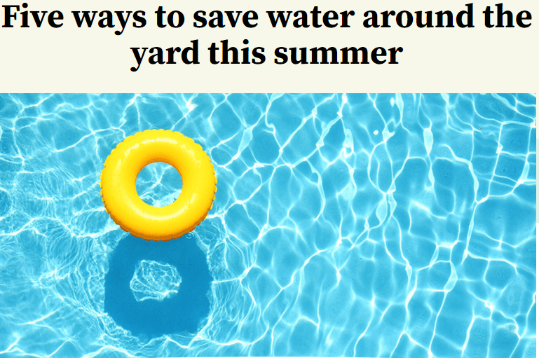 How to save water this summer