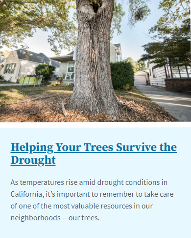 Save Trees during a drought